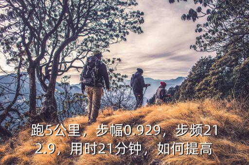 跑5公里，步幅0.929，步頻212.9，用時21分鐘，如何提高
