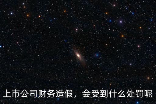 上市公司財(cái)務(wù)造假，會(huì)受到什么處罰呢