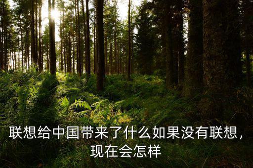 聯(lián)想給中國帶來了什么如果沒有聯(lián)想，現(xiàn)在會(huì)怎樣