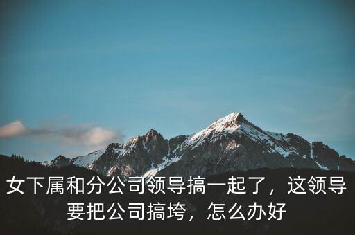 女下屬和分公司領(lǐng)導(dǎo)搞一起了，這領(lǐng)導(dǎo)要把公司搞垮，怎么辦好
