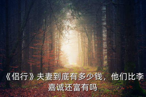 《侶行》夫妻到底有多少錢，他們比李嘉誠還富有嗎