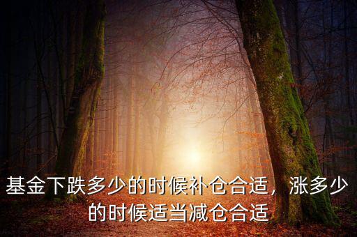 基金下跌多少的時候補(bǔ)倉合適，漲多少的時候適當(dāng)減倉合適
