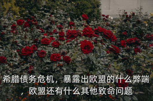 希臘債務(wù)危機(jī)，暴露出歐盟的什么弊端，歐盟還有什么其他致命問題
