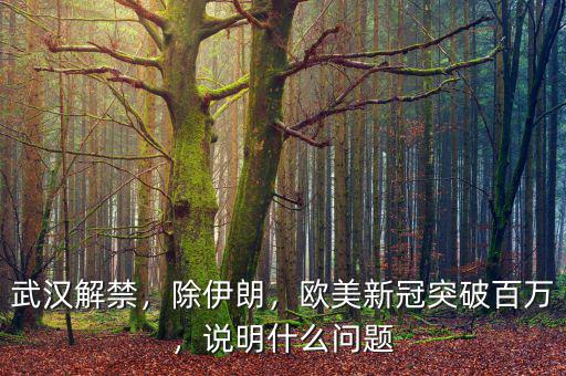 武漢解禁，除伊朗，歐美新冠突破百萬，說明什么問題
