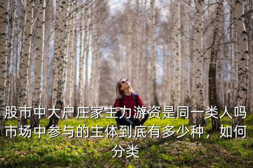 股市中大戶莊家主力游資是同一類人嗎市場(chǎng)中參與的主體到底有多少種，如何分類