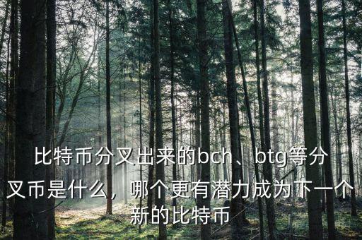 比特幣分叉出來的bch、btg等分叉幣是什么，哪個更有潛力成為下一個新的比特幣