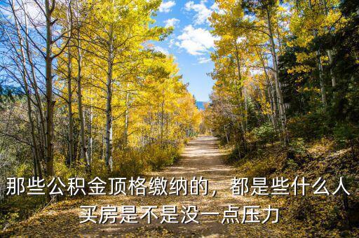 那些公積金頂格繳納的，都是些什么人買房是不是沒一點壓力