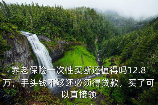 養(yǎng)老保險(xiǎn)一次性買(mǎi)斷還值得嗎12.8萬(wàn)，手頭錢(qián)不夠還必須得貸款，買(mǎi)了可以直接領(lǐng)
