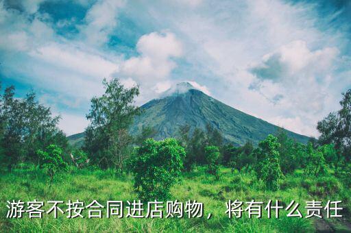 游客不按合同進(jìn)店購物，將有什么責(zé)任
