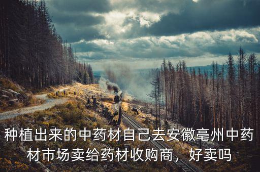 種植出來的中藥材自己去安徽亳州中藥材市場賣給藥材收購商，好賣嗎
