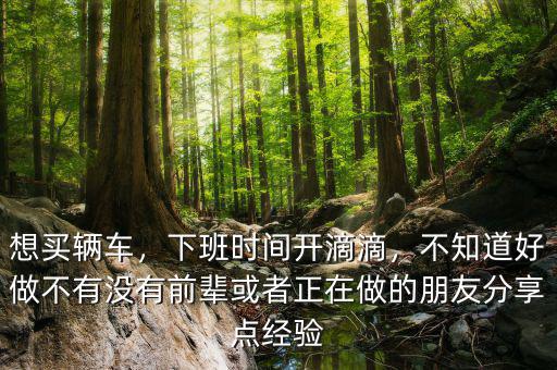 想買輛車，下班時(shí)間開滴滴，不知道好做不有沒有前輩或者正在做的朋友分享點(diǎn)經(jīng)驗(yàn)