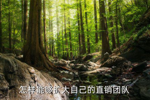 東阿直銷團(tuán)隊怎么樣,直銷管理如何做好團(tuán)隊發(fā)展