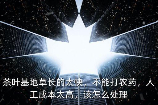 茶葉基地草長的太快，不能打農藥，人工成本太高，該怎么處理