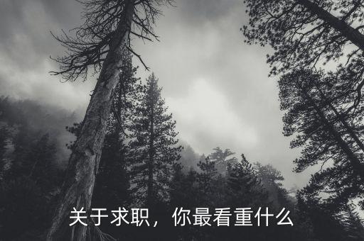 關(guān)于求職，你最看重什么