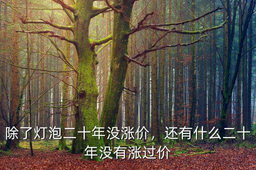 除了燈泡二十年沒(méi)漲價(jià)，還有什么二十年沒(méi)有漲過(guò)價(jià)