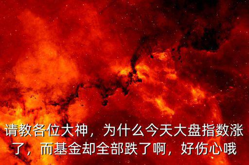 請(qǐng)教各位大神，為什么今天大盤指數(shù)漲了，而基金卻全部跌了啊，好傷心哦