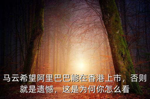 馬云希望阿里巴巴能在香港上市，否則就是遺憾，這是為何你怎么看