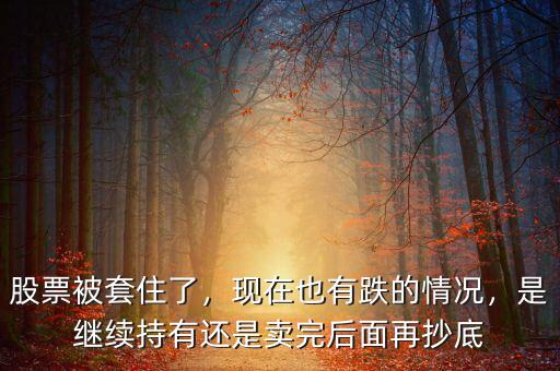 股票被套住了，現(xiàn)在也有跌的情況，是繼續(xù)持有還是賣完后面再抄底