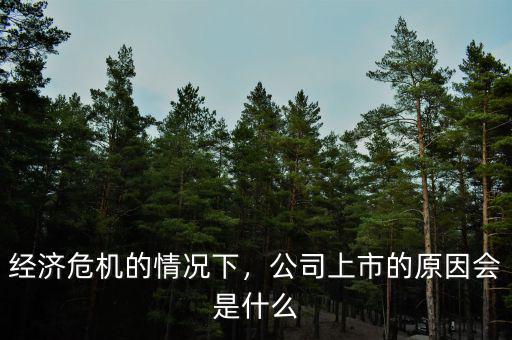 經(jīng)濟(jì)危機(jī)的情況下，公司上市的原因會(huì)是什么