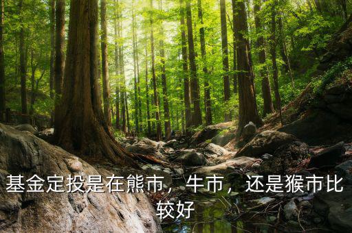 基金定投是在熊市，牛市，還是猴市比較好