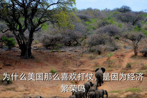 為什么美國那么喜歡打仗，是因為經濟繁榮嗎