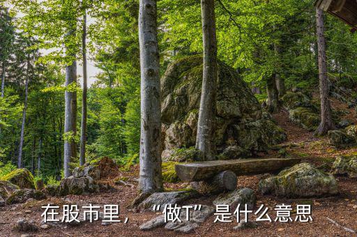 在股市里，“做T”是什么意思