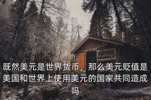 既然美元是世界貨幣，那么美元貶值是美國和世界上使用美元的國家共同造成嗎