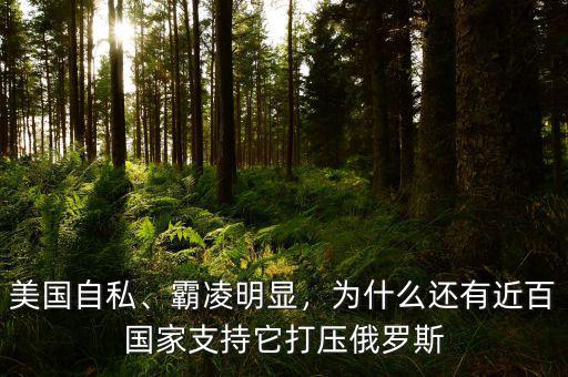 美國自私、霸凌明顯，為什么還有近百國家支持它打壓俄羅斯