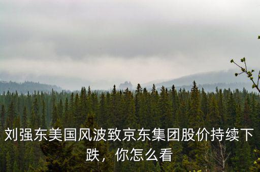 劉強(qiáng)東美國風(fēng)波致京東集團(tuán)股價(jià)持續(xù)下跌，你怎么看