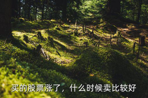 買的股票漲了，什么時候賣比較好