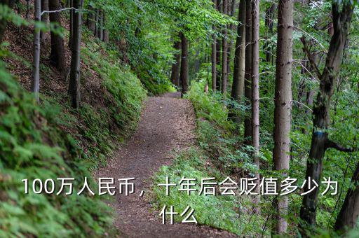 100萬人民幣，十年后會貶值多少為什么