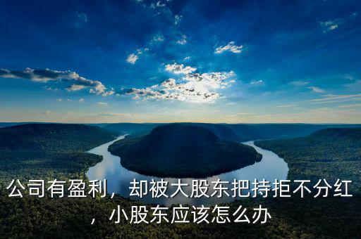 公司有盈利，卻被大股東把持拒不分紅，小股東應(yīng)該怎么辦