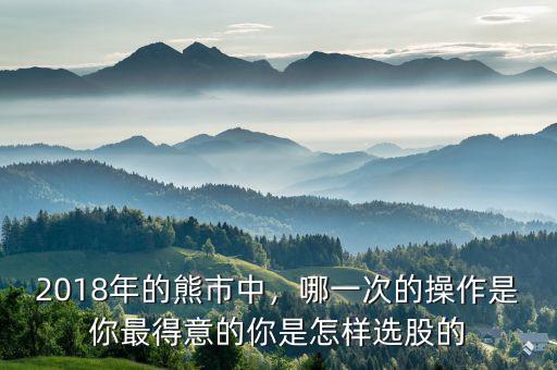2018年的熊市中，哪一次的操作是你最得意的你是怎樣選股的