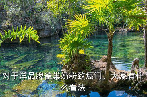 對(duì)于洋品牌雀巢奶粉致癌門，大家有什么看法