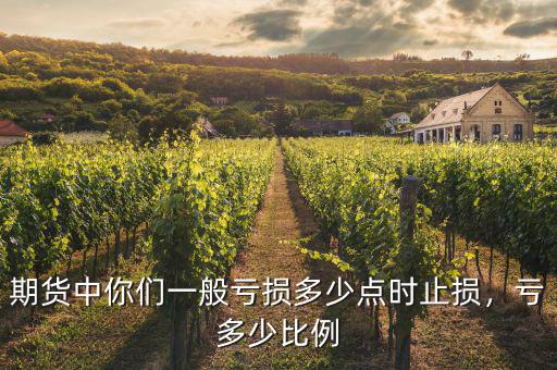 期貨中你們一般虧損多少點(diǎn)時(shí)止損，虧多少比例