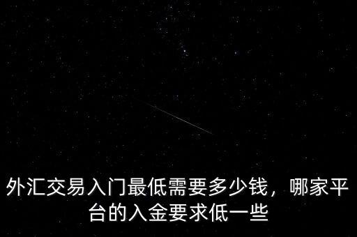 外匯交易入門最低需要多少錢，哪家平臺的入金要求低一些