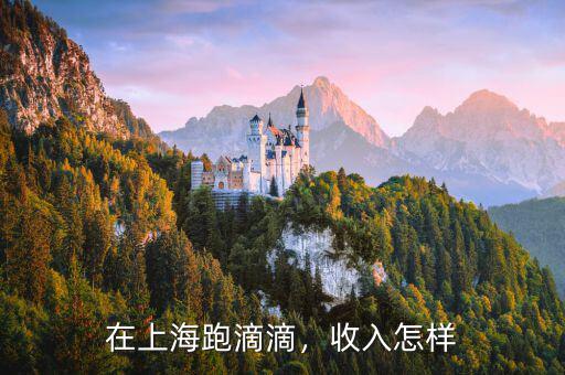 在上海跑滴滴，收入怎樣