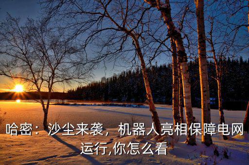 哈密：沙塵來襲，機(jī)器人亮相保障電網(wǎng)運(yùn)行,你怎么看