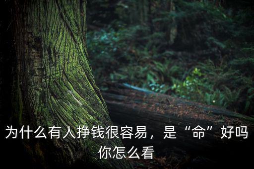 為什么有人掙錢很容易，是“命”好嗎你怎么看
