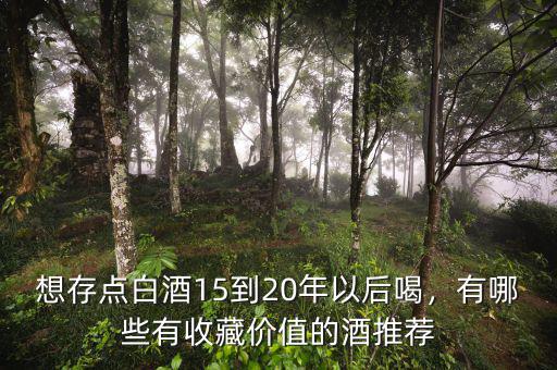 想存點白酒15到20年以后喝，有哪些有收藏價值的酒推薦