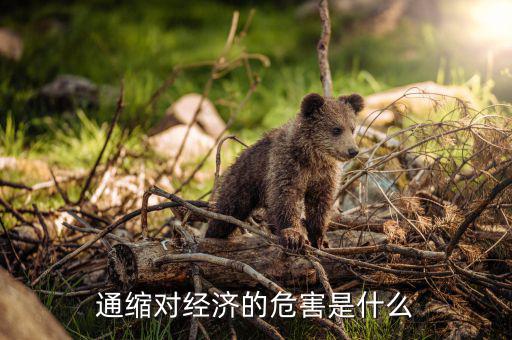 通縮對經濟的危害是什么