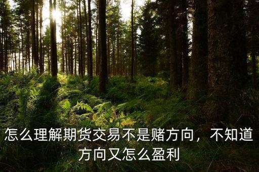 怎么理解期貨交易不是賭方向，不知道方向又怎么盈利