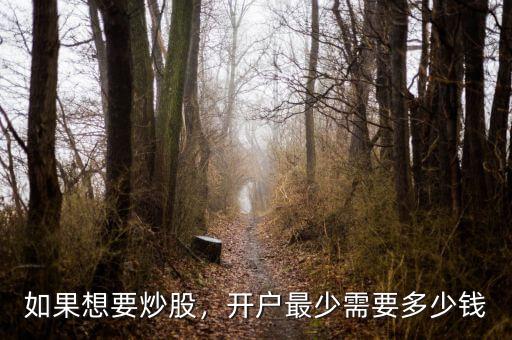 如果想要炒股，開戶最少需要多少錢