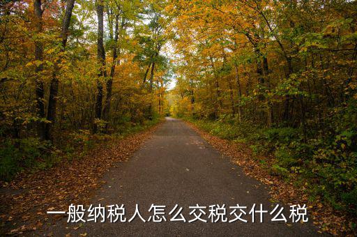稅友可以繳納什么稅，一般納稅人應該交什么稅稅率是多少啊