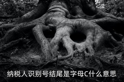 c級納稅人是什么意思，納稅人識(shí)別號結(jié)尾是字母C什么意思