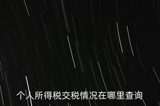 個(gè)人所得稅交稅情況在哪里查詢(xún)