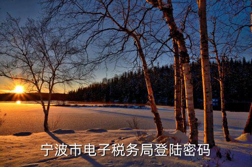 電子稅務(wù)默認(rèn)登錄密碼是什么，稅務(wù)局網(wǎng)站的登入賬戶初始密碼是什么