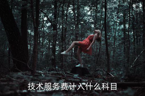技術(shù)服務(wù)收入計(jì)入什么科目，收到技術(shù)服務(wù)費(fèi)計(jì)入什么科目