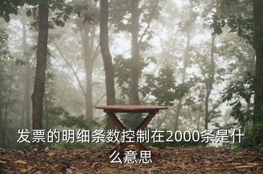 發(fā)票明細(xì)什么意思，發(fā)票的明細(xì)條數(shù)控制在2000條是什么意思