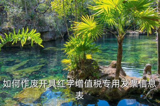 開具紅字信息表撤銷需要什么意思，我是購(gòu)貨方開具紅字信息表錯(cuò)誤去稅務(wù)局撤銷信息表查看描寫